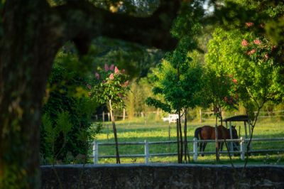 Hotel vignoble bordeaux Le domaine de Larchey 12 1